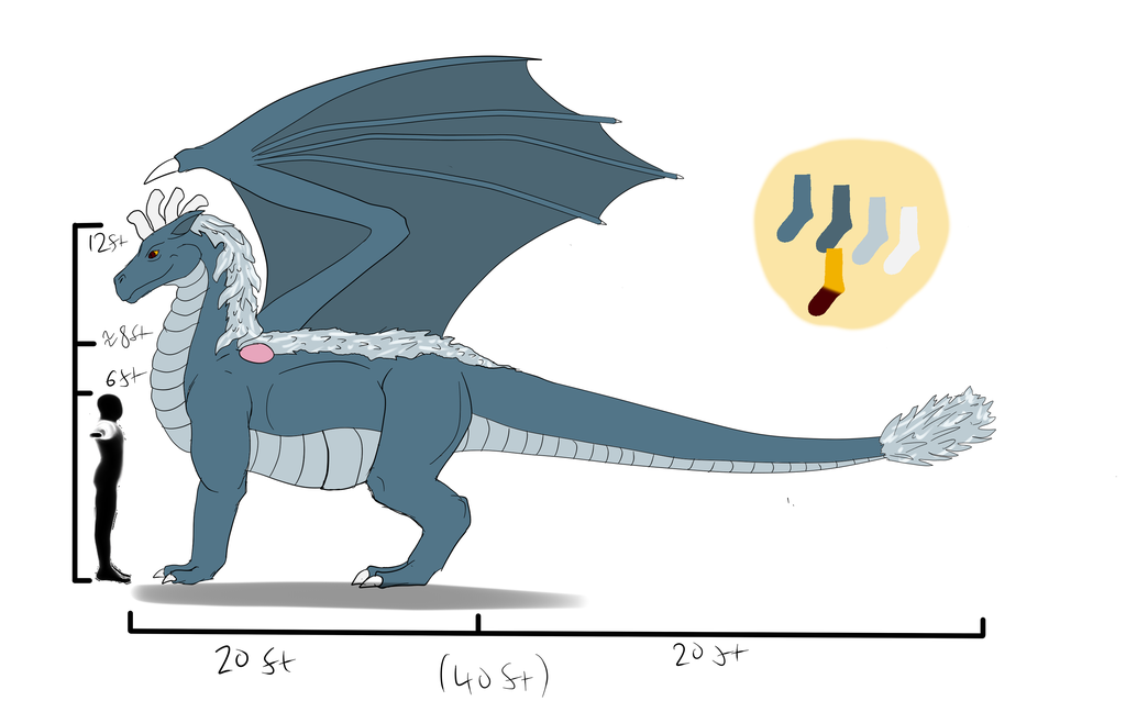 Basic reference of a Sock Dragon