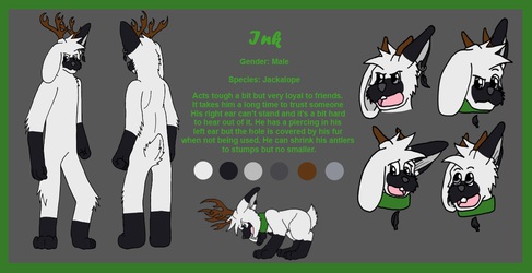 Ink Reference Sheet