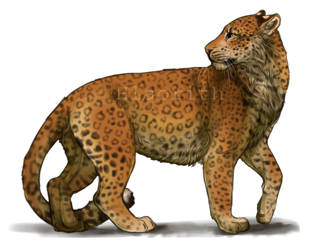 Pretty Leopard