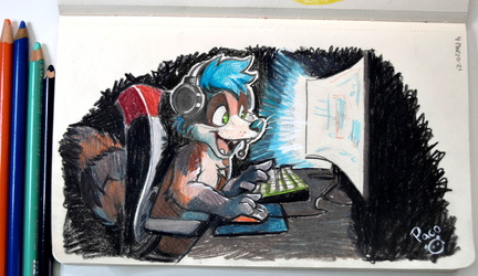 PC Gamer Raccoon