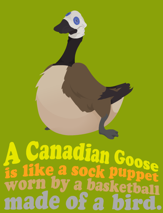 CANADIAN GEESE