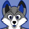 avatar of TacoFox