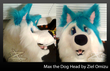 Max the Dog Head
