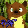 avatar of Platero
