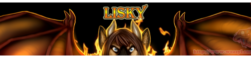 Lisky Banner