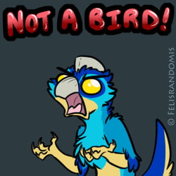 Not a Bird by Felis Randomis