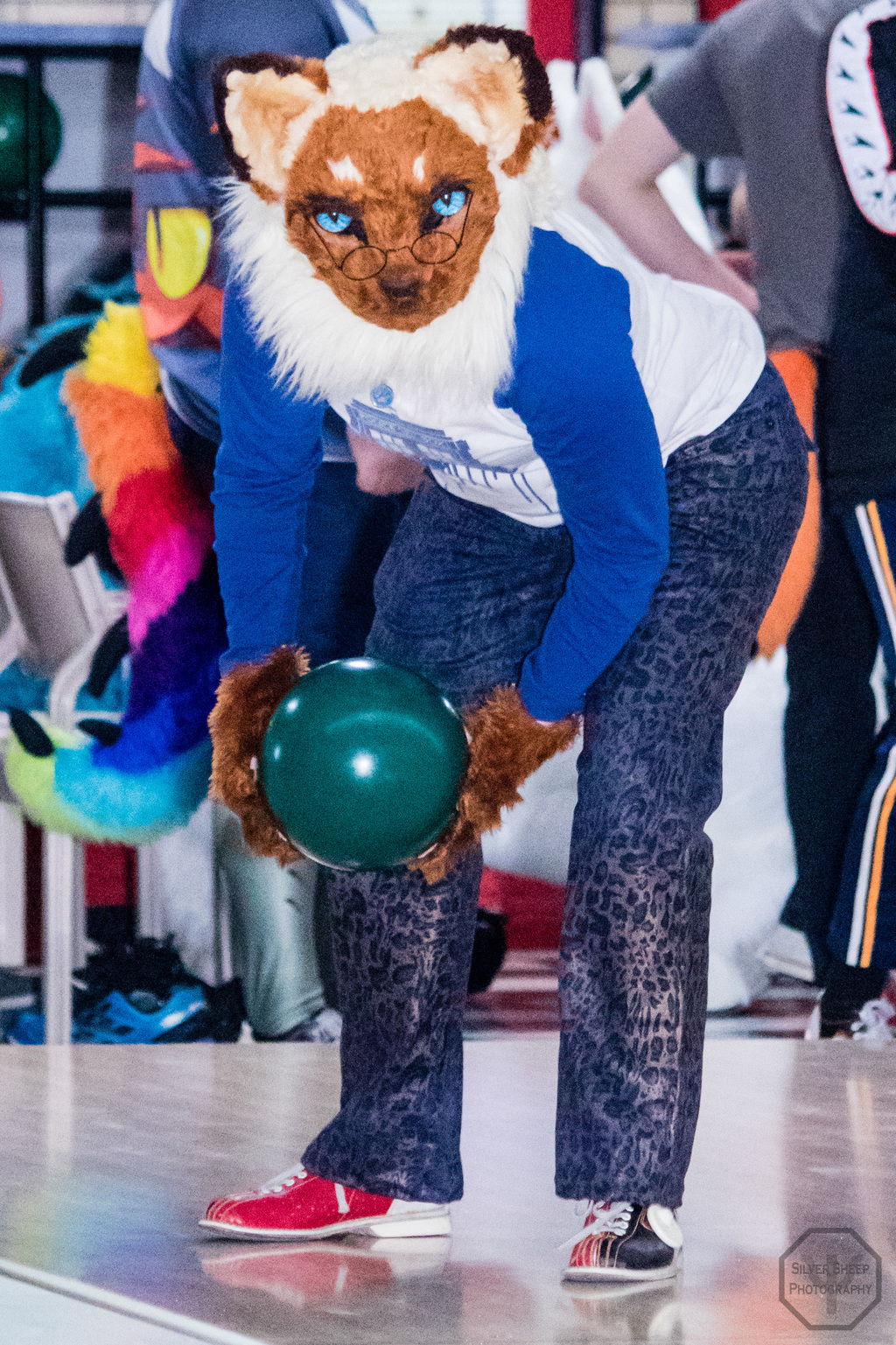 BaFURst 2017: Bowling Cat