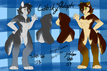 Labsky twin adopts : closed