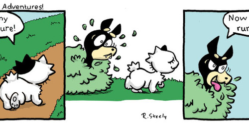 Savannah Cat comic #7
