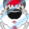 avatar of furrydog008