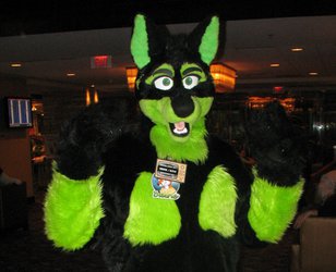 Almost Camoflaged! MFF2012