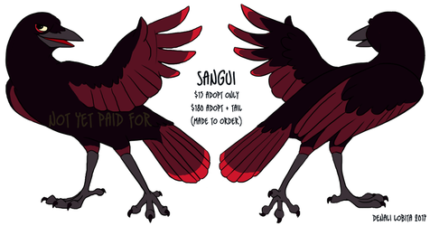 Sangui - Crow Adoptable