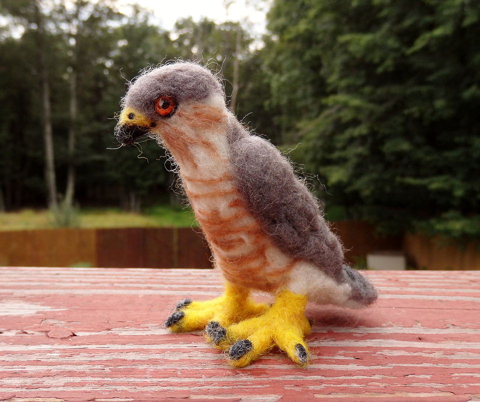 Needle Felted Coopers Hawk Soft Sculpture