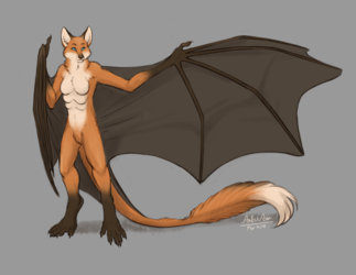 Bat-Fox Concept
