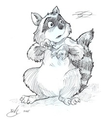 Rattled Raccoon by Gabe Hernandez