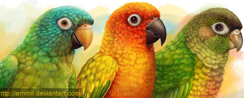 The three conures