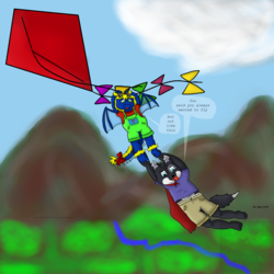 Fly Away Kite