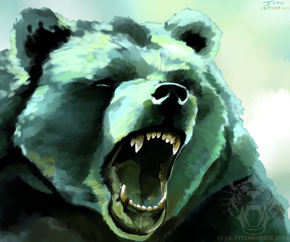 Bear Study 119