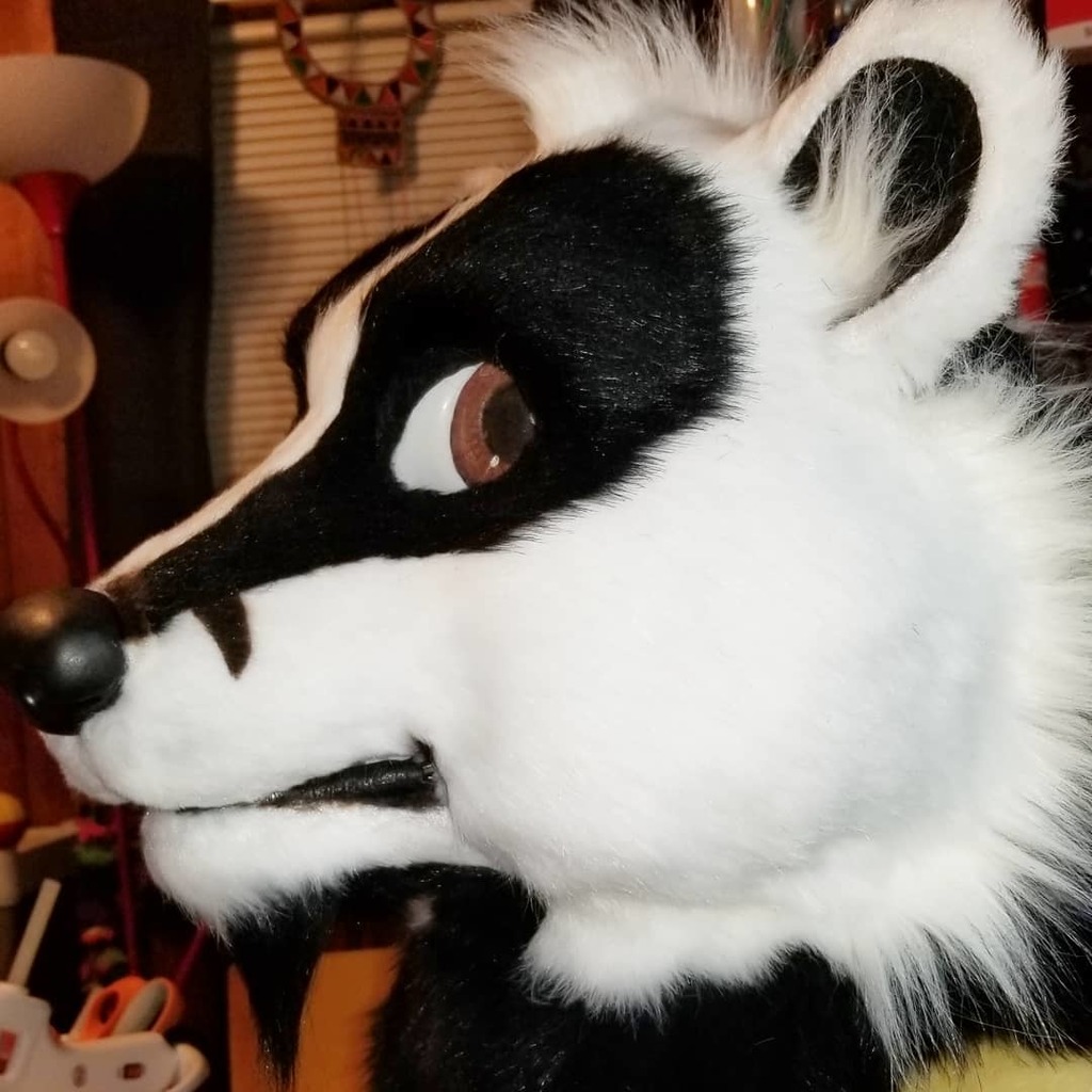 Most recent image: Pine The Badger