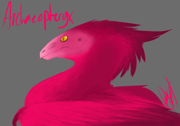Pink Archaeopteryx
