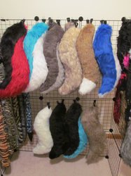 Chicago Preview: Canine Tails - 2012