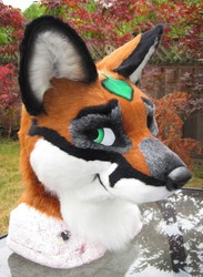 Meet Leaf Fox!
