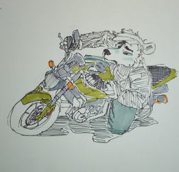 Bear on Motorcycle 