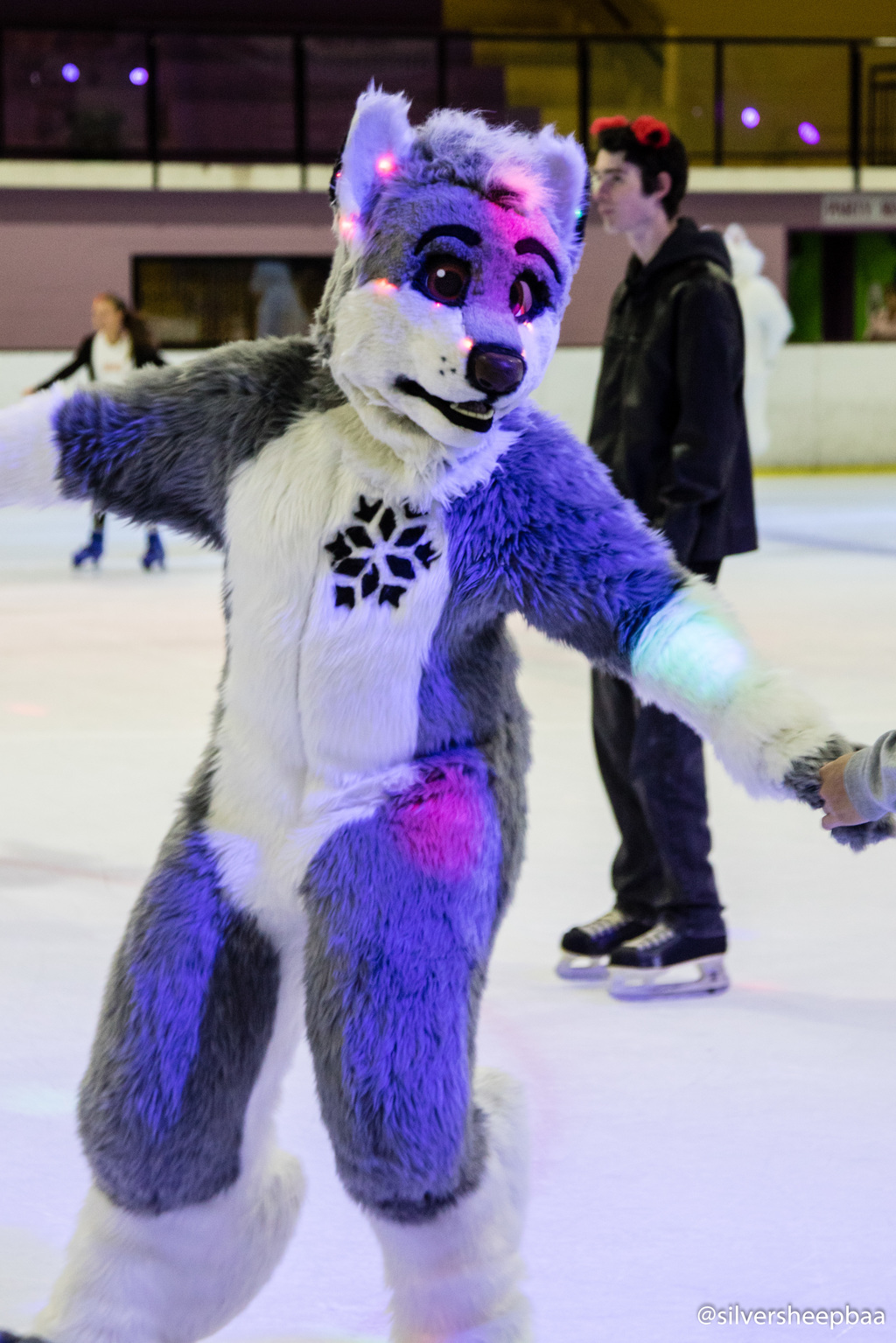 Furries on Ice 2017: Take My Paw