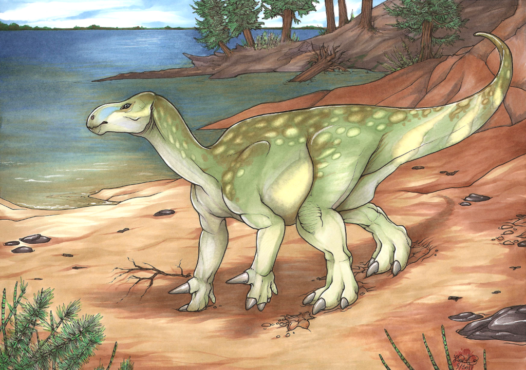 Iguanodon Fittoni