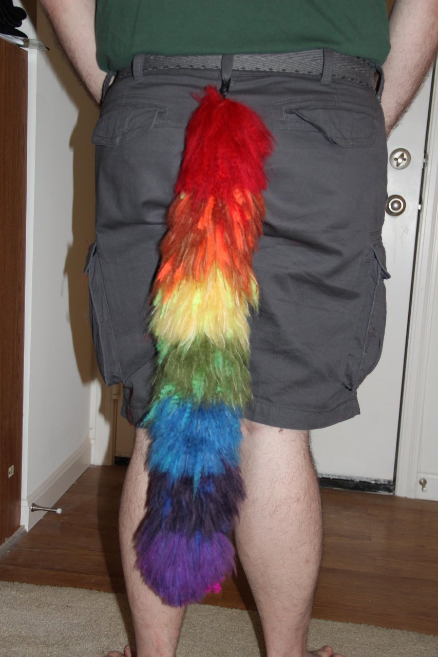 Most recent image: Rainbow tail