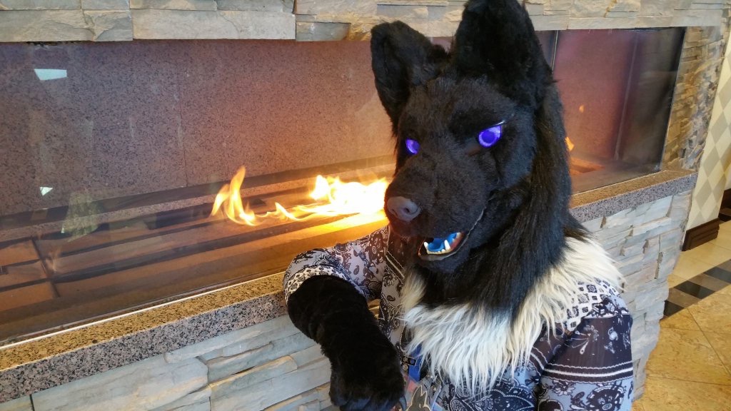 Most recent image: Wolf by the Fire