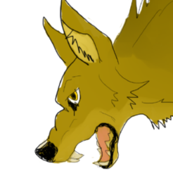 Coyote Quick Drawing