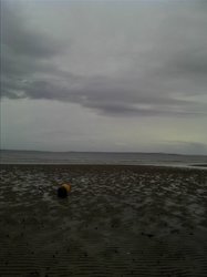 Alone on the Beach