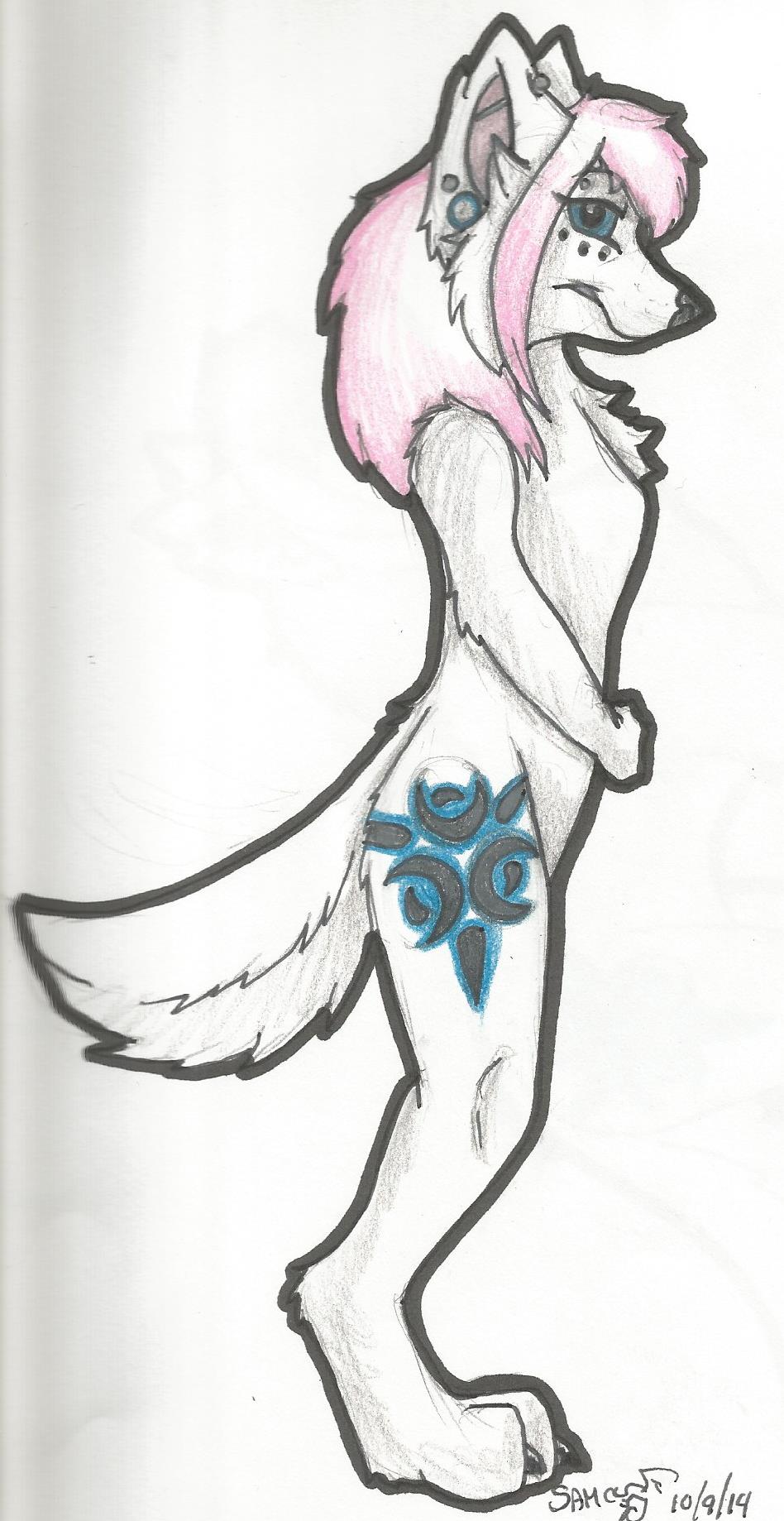 Day 5: Anthro Form