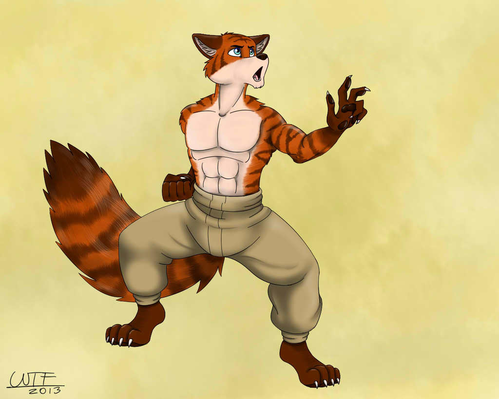 The Fox Stance - Gift by WonderTheFox
