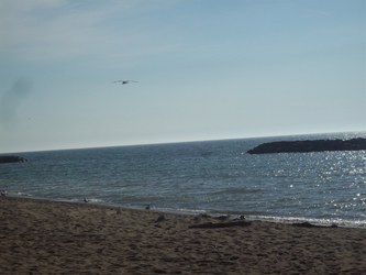 Lake Erie Beach