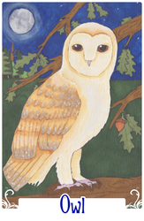 Owl (2014)