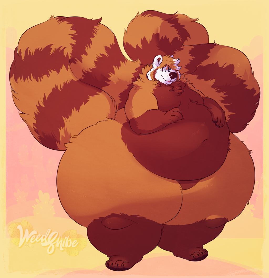 Extra-thick Sheebs
