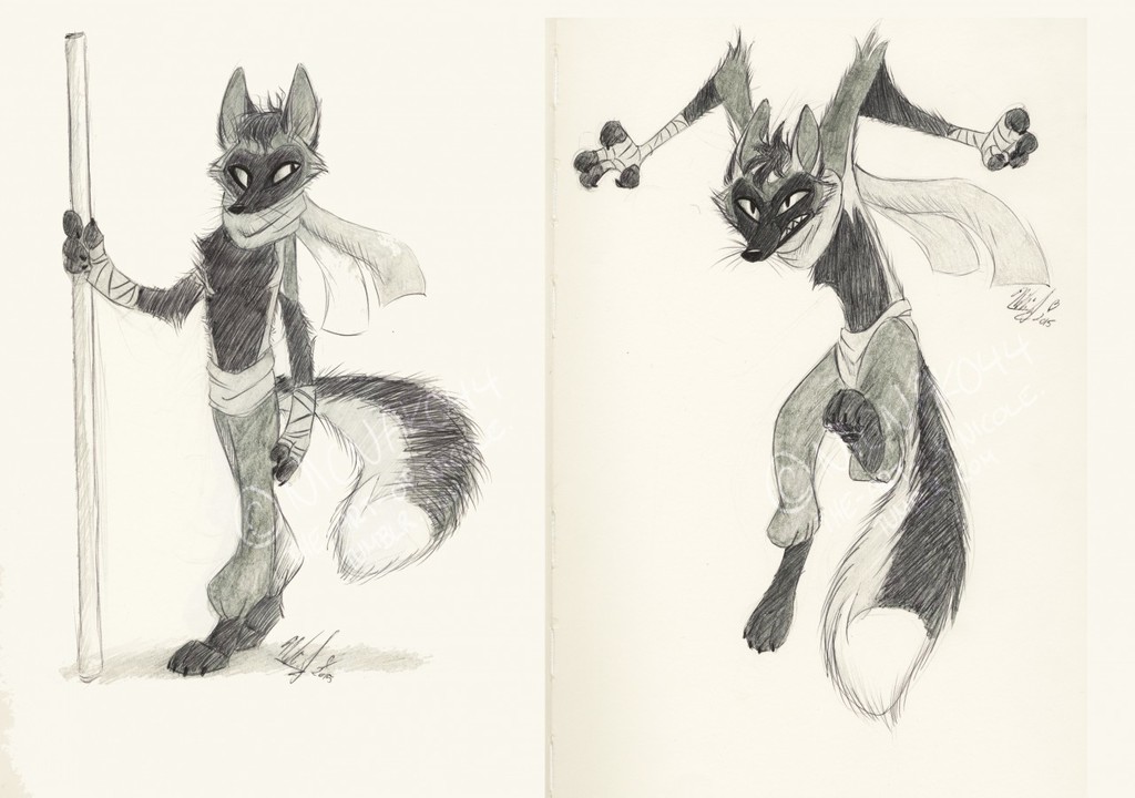 Kung Fu Foxes