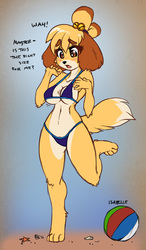 Isabelle's New Swimsuit