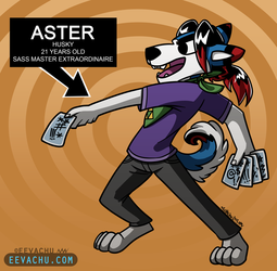 Sass Master Aster