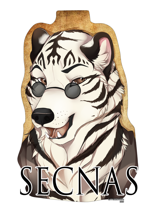Secnas badge
