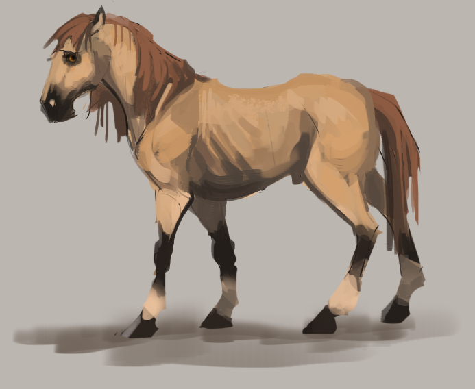 Toko Horse