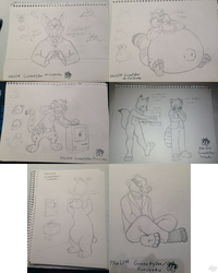 PAW con sketches