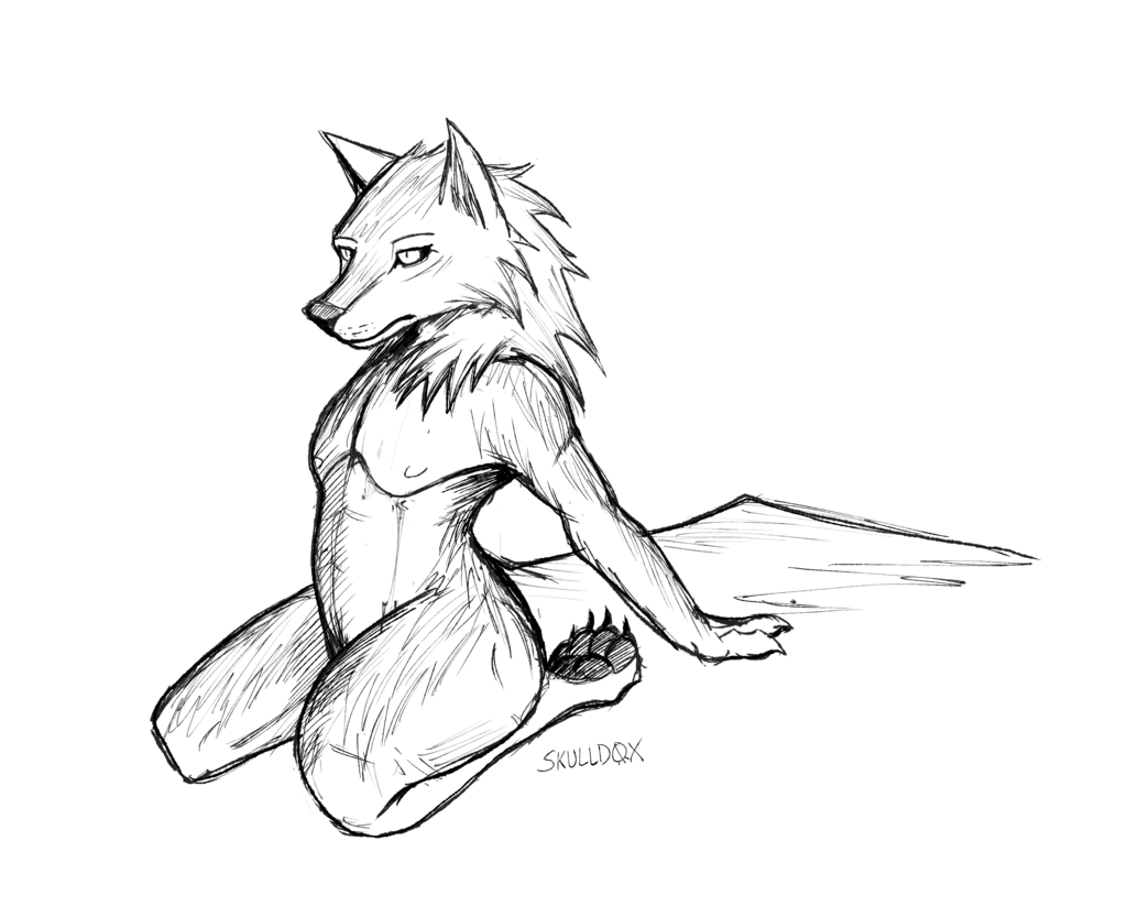 221025 Wolf Sketch