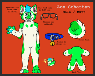 Ace Schatten Reference 2015/2016
