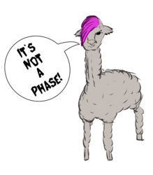 It's Not a Phase Alpaca