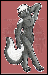 Pin Up: Male Skunk 2013