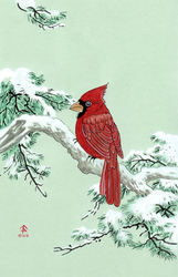 Japanese Cardinal