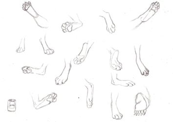 Foot practice
